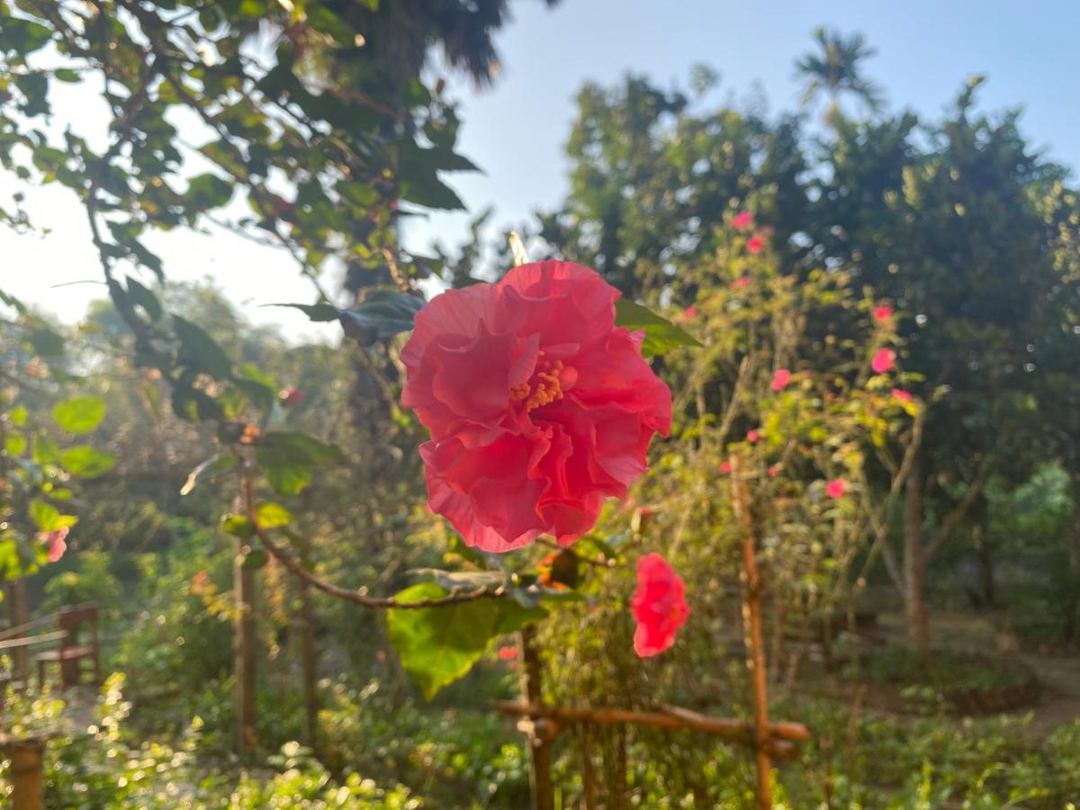 Muong Bi Homestay Hòa Bình Dış mekan fotoğraf