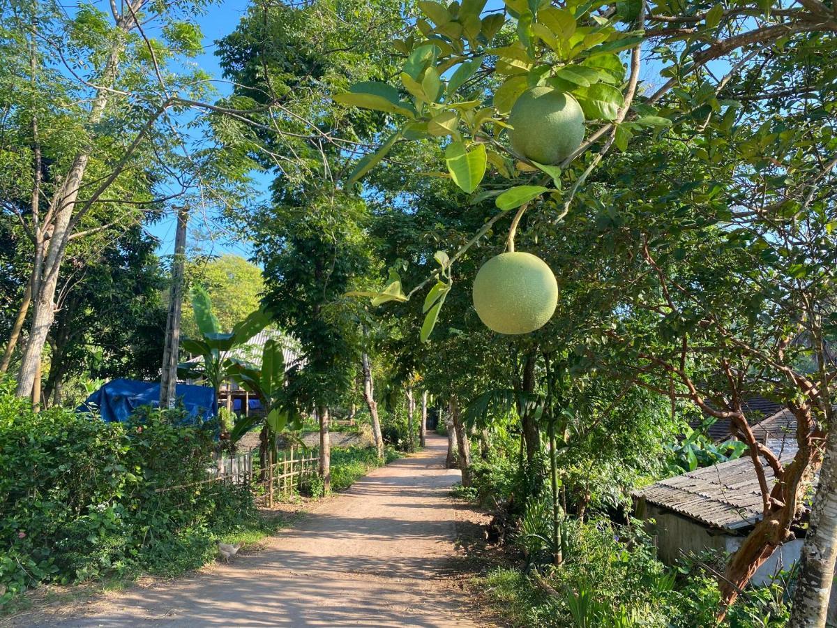 Muong Bi Homestay Hòa Bình Dış mekan fotoğraf