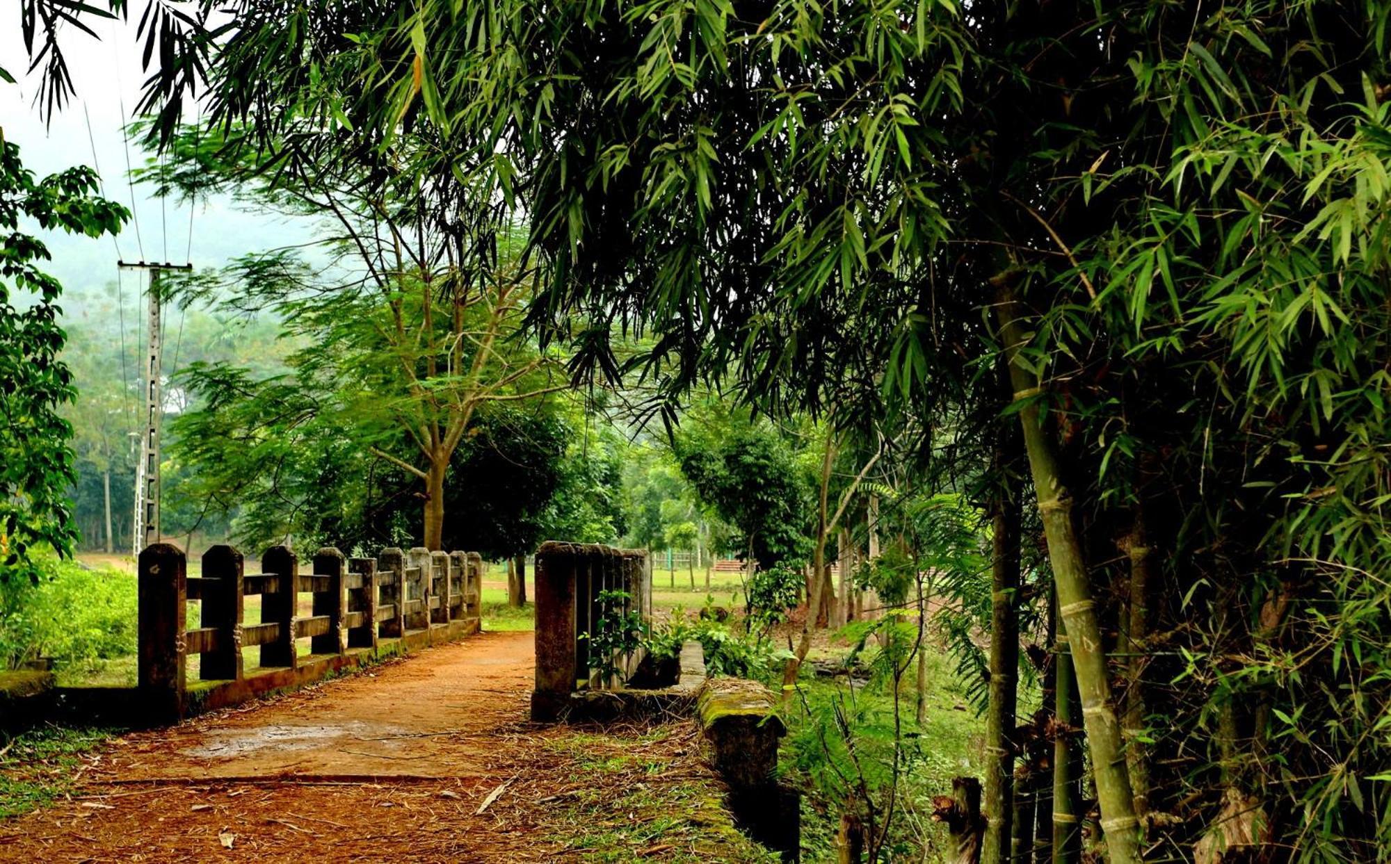 Muong Bi Homestay Hòa Bình Dış mekan fotoğraf