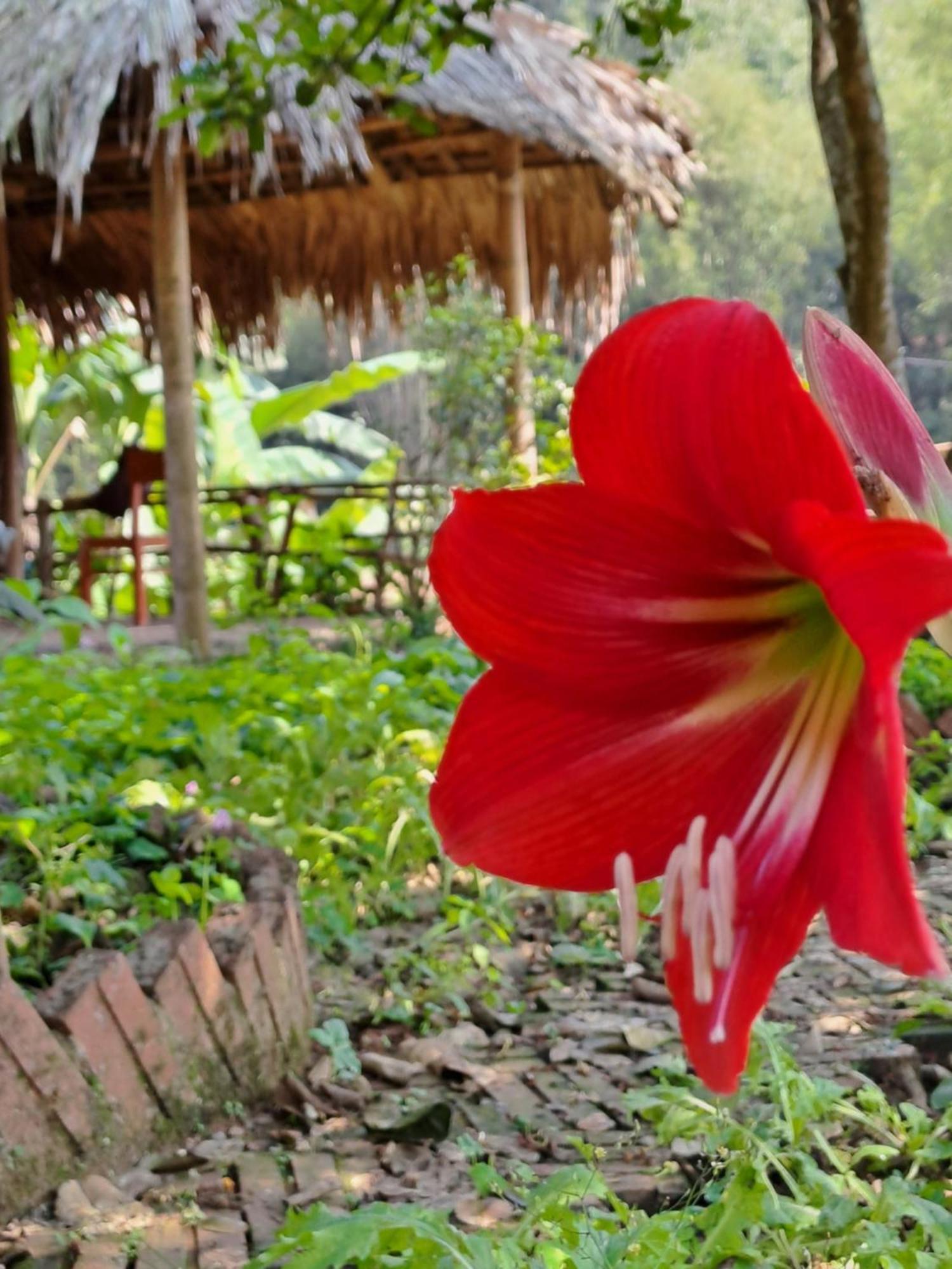 Muong Bi Homestay Hòa Bình Dış mekan fotoğraf