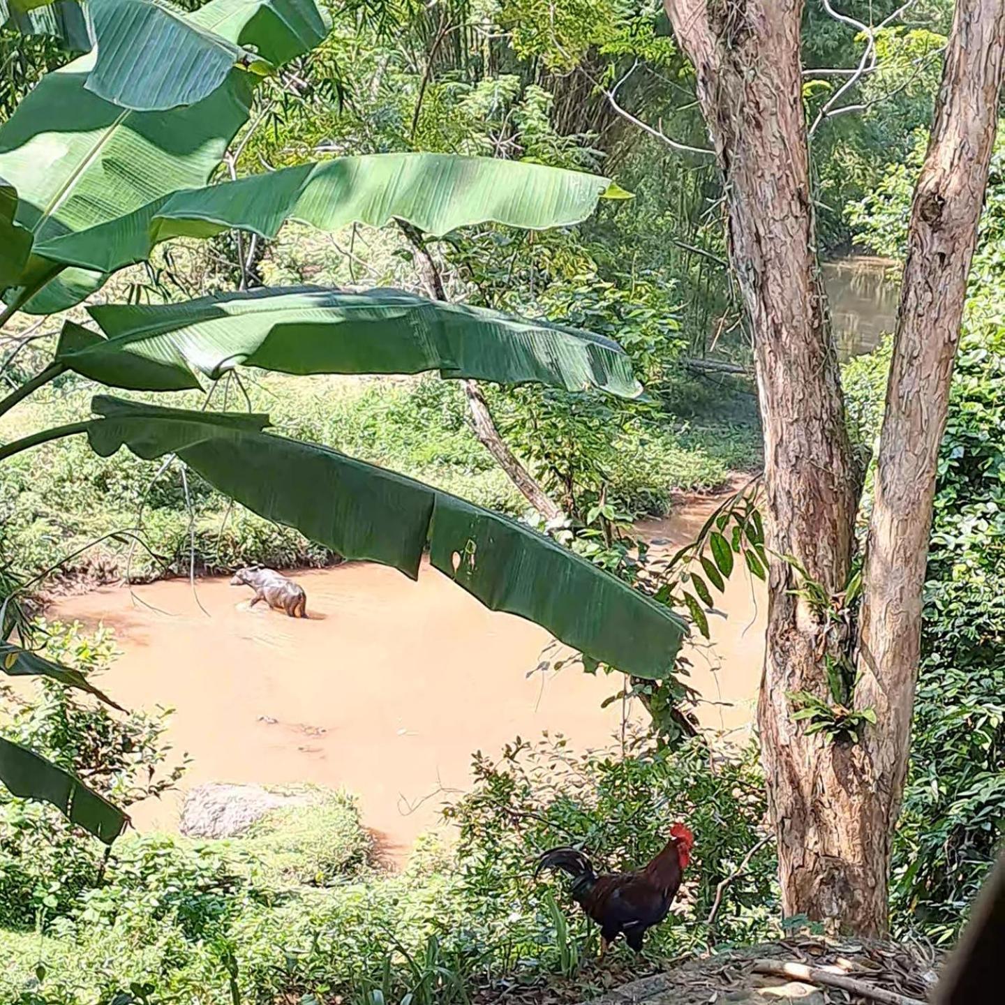Muong Bi Homestay Hòa Bình Dış mekan fotoğraf