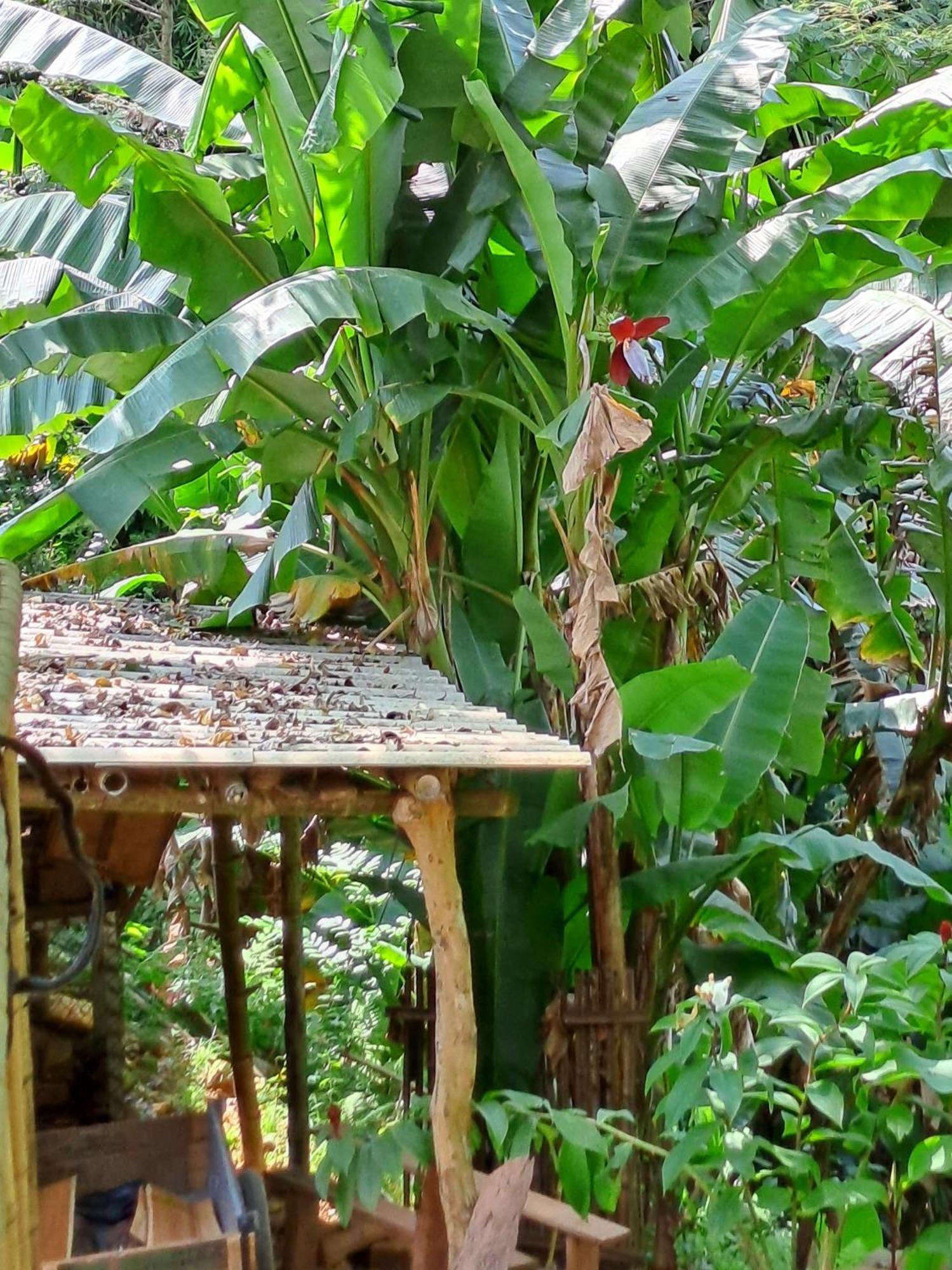 Muong Bi Homestay Hòa Bình Dış mekan fotoğraf