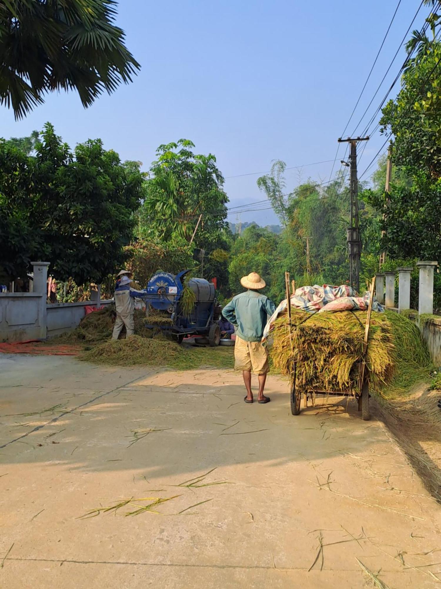 Muong Bi Homestay Hòa Bình Dış mekan fotoğraf