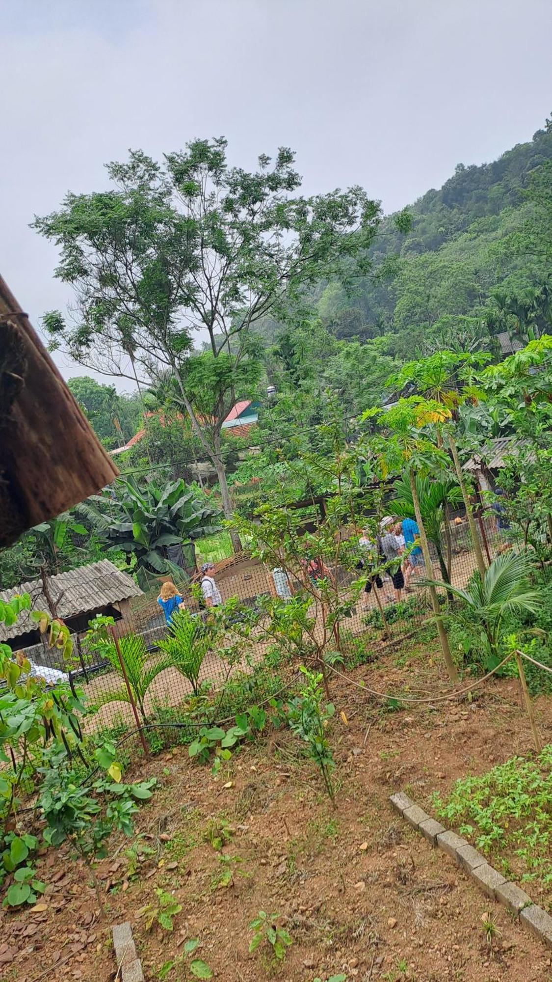 Muong Bi Homestay Hòa Bình Dış mekan fotoğraf