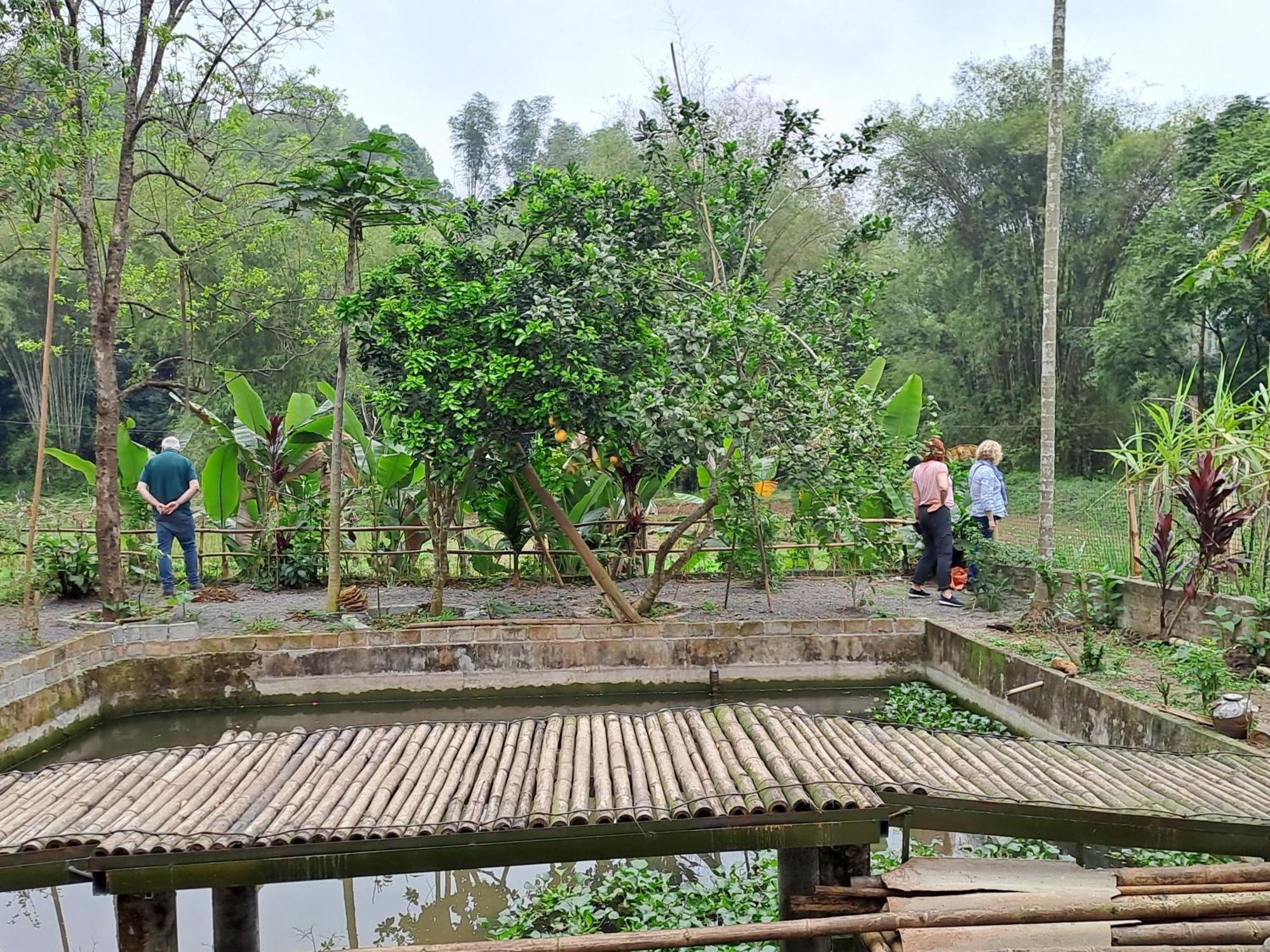 Muong Bi Homestay Hòa Bình Dış mekan fotoğraf